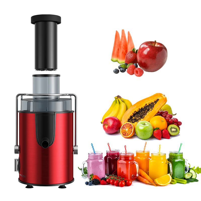 Multifunctional 800W Centrifugal Juicer Machine with Anti-Drip & Anti-Slip Design, 2-Speed Juicer for Fruits & Vegetables – Fast Juice Extraction Image