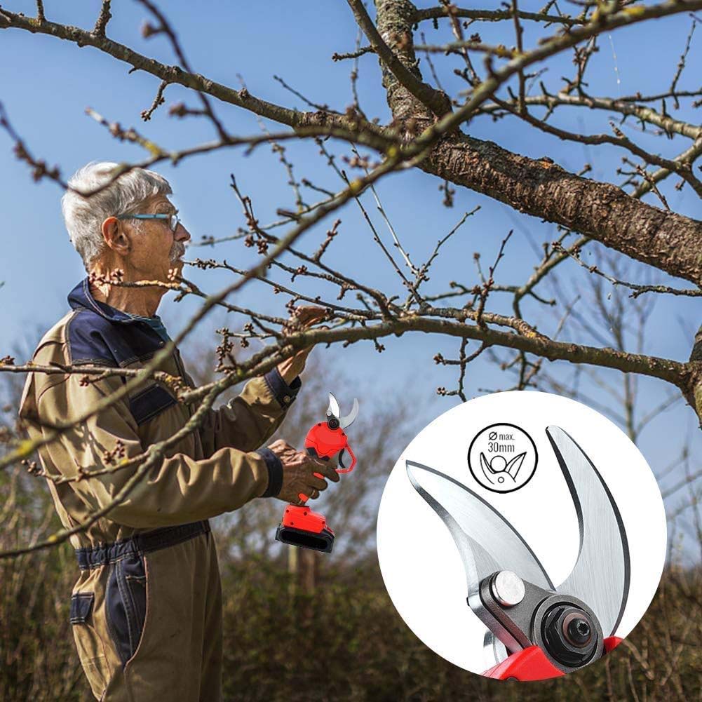 Cordless Electric Pruning Shears - Garden Tree Branch Pruner with 30mm Cutting Diameter, 2 Rechargeable 2Ah Lithium Batteries, 6-8 Working Hours, Ideal for Fruit Tree Branches Image