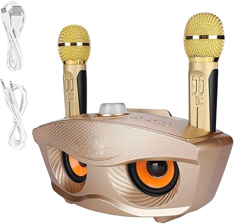 Dual Wireless Microphone Bluetooth Karaoke Speaker Set | Portable Karaoke System for Home, Parties, and Events Image