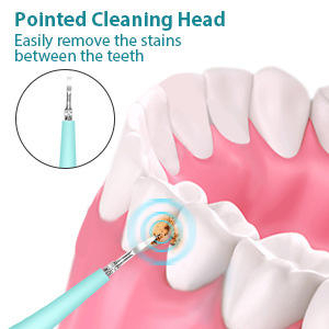 Electric Dental Calculus Remover - Sonic Tooth Tartar Plaque Removal Kit - Safe Stain Cleaner for Kids & Adults (Multi) Image