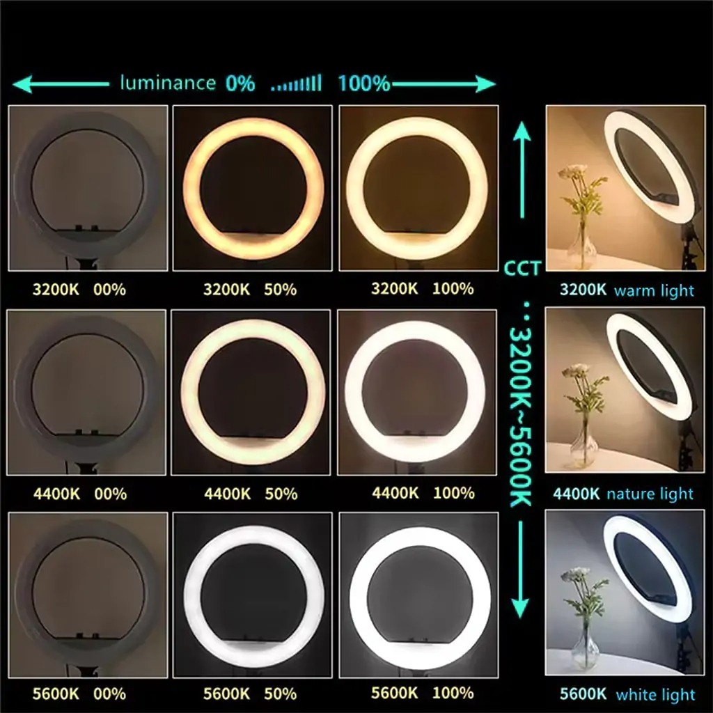 14-Inch Selfie Ring Light with Tripod Stand – Adjustable Photographic Lamp with 3 Mobile Holders Image